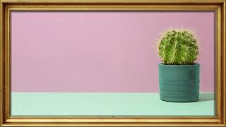 TV Frame 4K Still Life with Cactus Plant screenshot 4
