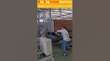 new design type multi - layers  wood veneer dryer machine  #woodmachinery #machine  #woodworking