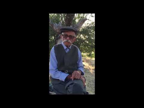 95 yaşındaki Dersimli Saltuk Yıldırım Dede: Biz Kürt Değiliz, Türkmeniz.