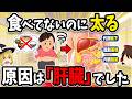 【筋トレより先にコレ】食べてないのに太る原因は「肝臓」でした。代謝を上げて内臓脂肪を減らす神食材5選