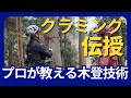 【特殊伐採クライミング伝授|アーボプラス社内研修】
