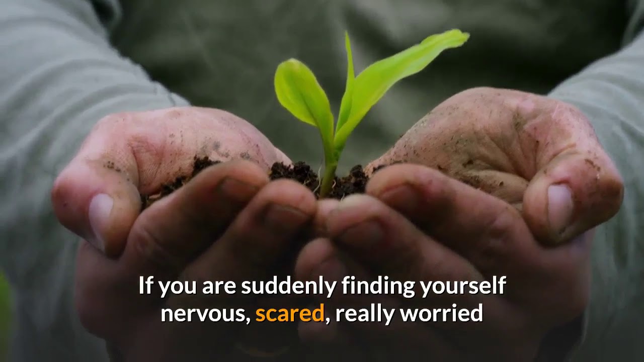 Home remedies for anxiety YouTube