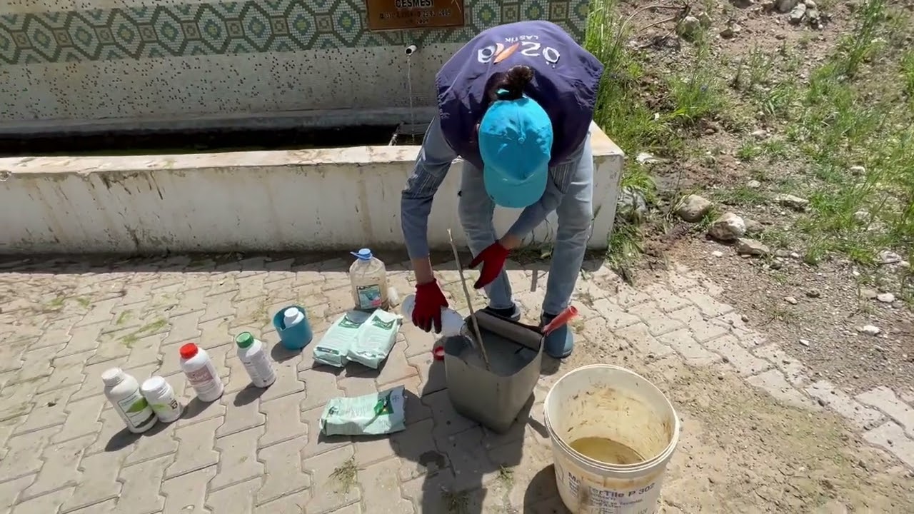 NOHUT İLAÇLAMASI NATİVO+COMCAT(sıvı gübre)+SİNEK İLACI+YAPIŞTIRICI YAYICI