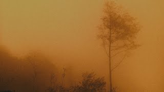 Download Lagu Stereov \u0026 Le Krüm - Sweet Nostalgia MP3