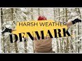 Weather in Denmark| Intense But Beautiful| Beware New Comers