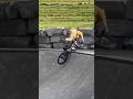 Terrifying bmx fail skatepark