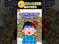 「情けないわねw」とアレルギーの夫にエビを送る義母 → ブチギレた夫が電話で問い詰め論破された結果ww #スカッと #スカッとする話 #修羅場 #2ch