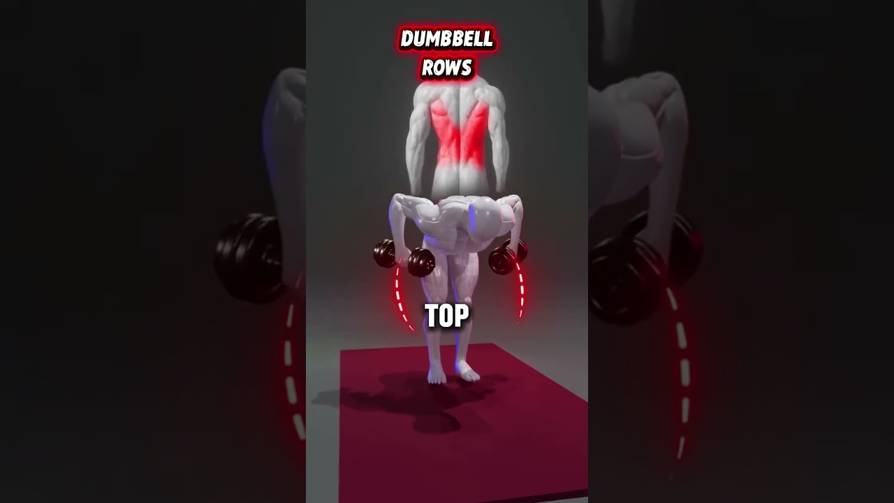 Full Back Dumbbell Workout | Build Thickness, Width & Strength Anywhere 💪🔥