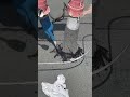 Professional Waterproofing treatment team #short #machinery #tools #viralvideo #fyp