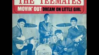 Vignette de la vidéo "THE TEEMATES - Moving Out"