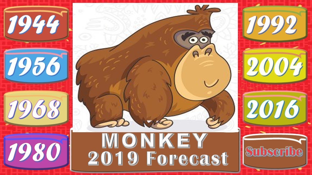 Monkey Horoscope 2019 Born 1944, 1956, 1968, 1980, 1992, 2004, 2016
