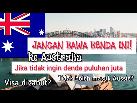 Video: Adakah sofa mewah buatan Australia?