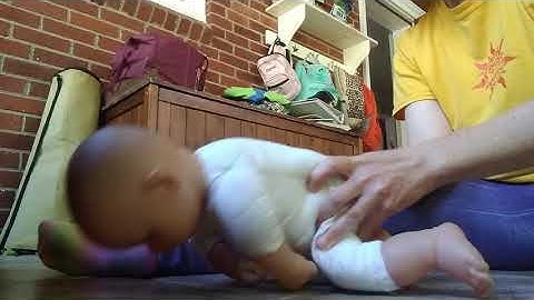 Quadruped to sitting