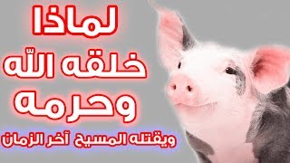 لماذا خلق الله الخنزير وحرمه ويقتله المسيح عيسى في آخر الزمان