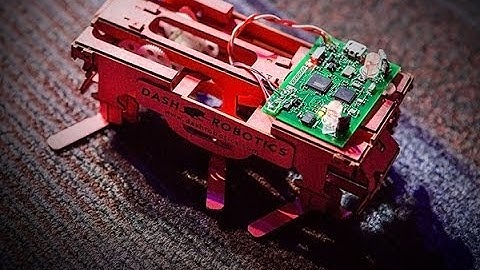 Robert Full: The secrets of nature