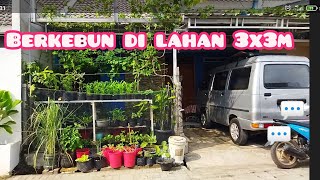 Berkebun di lahan 3x3m//Menata kebun//Sistem vertikal//full dari bawah sampai atas@nofiyantiriyadi