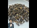 Gold Tea What Is That Is It Made Up Of Gold Gold Golden Tea Gold Tea What Is That Is It Made Up Of Gold Gold Golden Tea