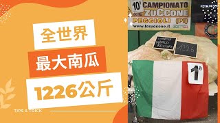 2022年全世界最大南瓜，1226公斤打破世界紀錄。