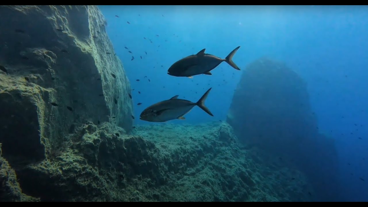 Blue Hole, Gozo, Malta, 18.08.2025, Dive #51