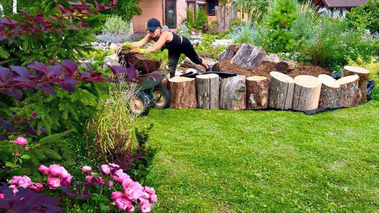 02.08.2025 Массивное обрамление лесной клумбы. Обновки в саду.