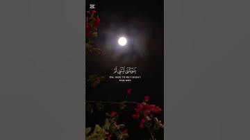 تلاوه خاشعه للقارئ محمد النقيب ♥️🎧 #اكسبلور #تلاوة_خاشعة #لايك #دويتو #المصحف #quran #حالات_واتس