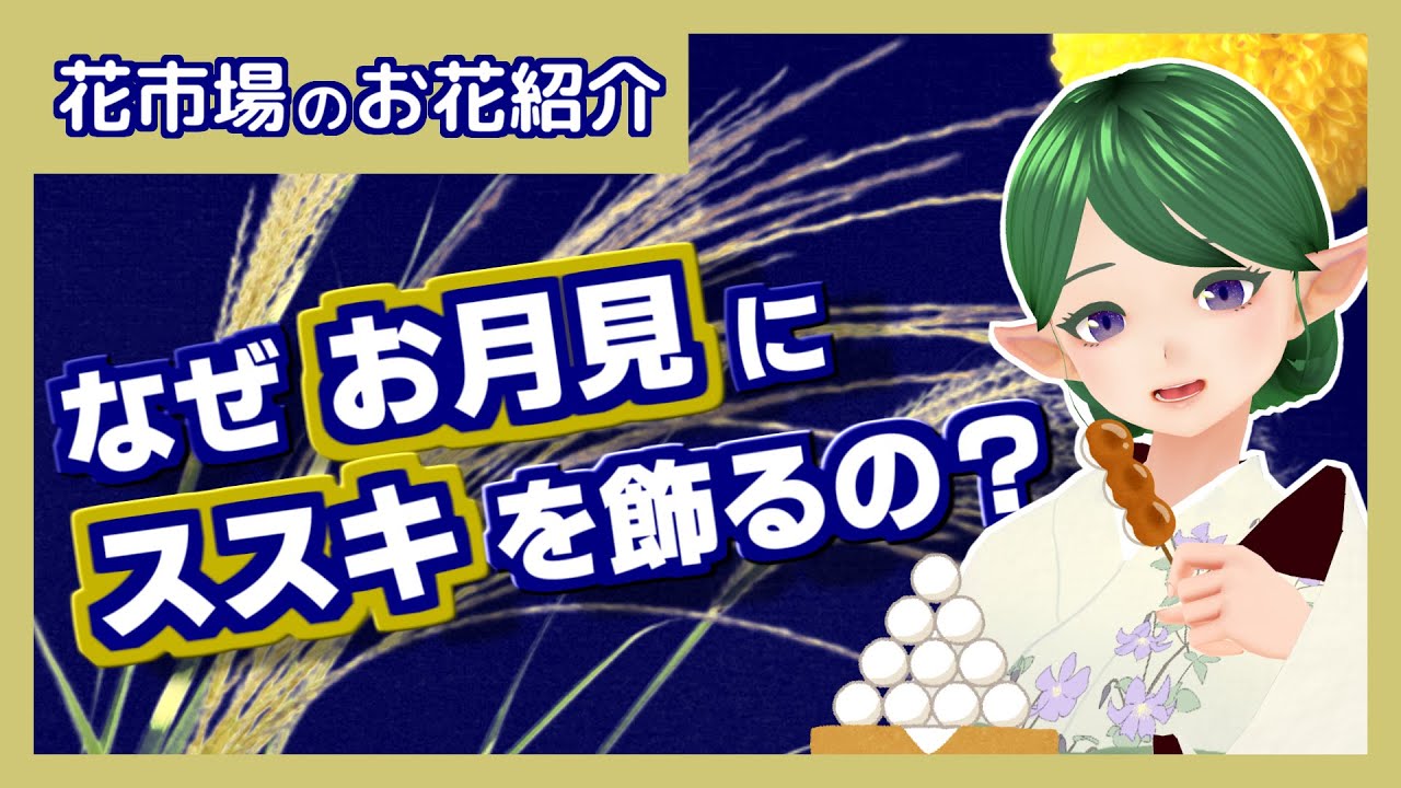 中秋の名月 お月見にススキを飾るのはなんで 花市場のお花紹介 Youtube