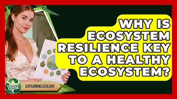 Why Is Ecosystem Resilience Key To A Healthy Ecosystem? - Explaining Ecology