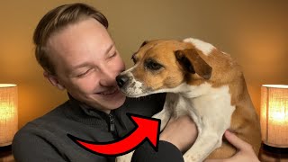 Dog ASMR 2