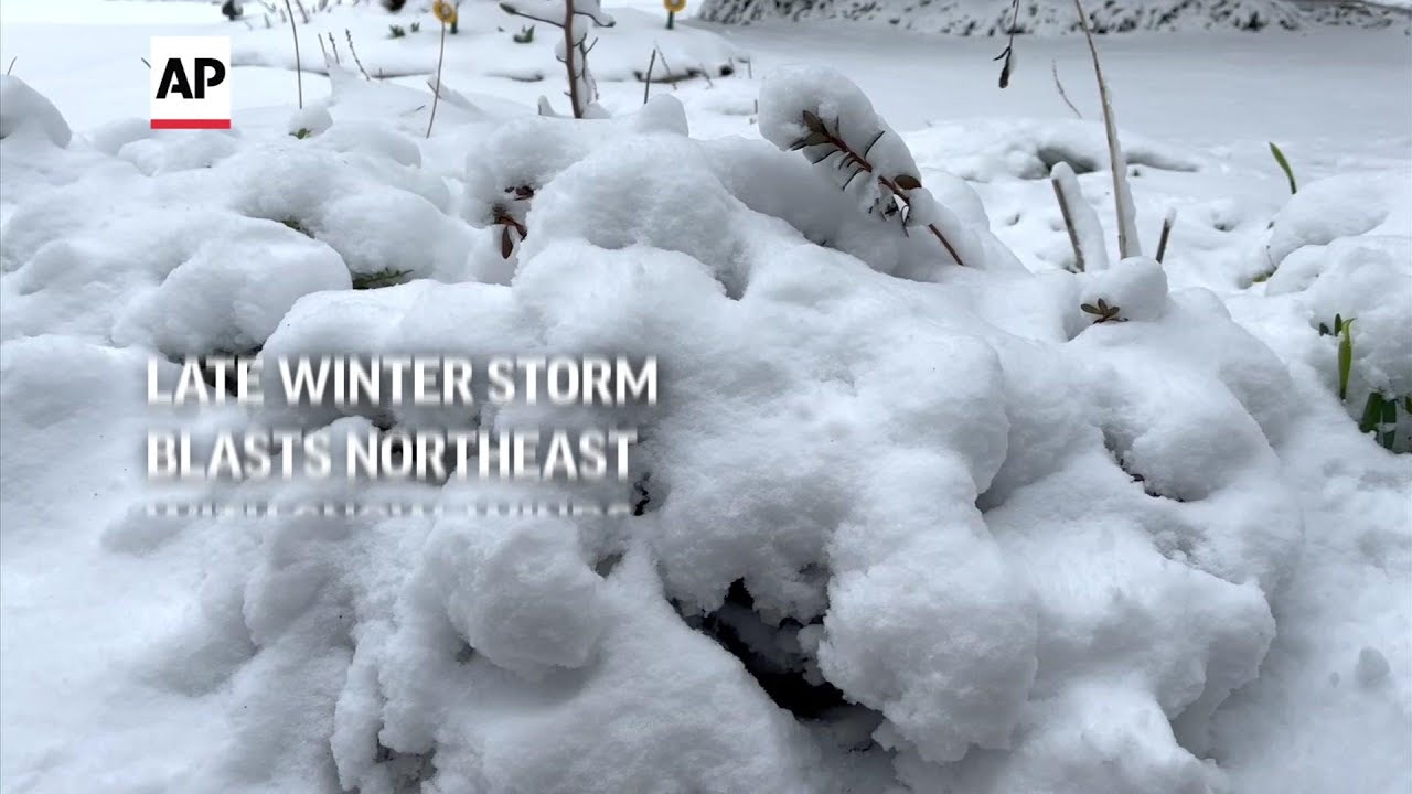 Late winter storm blasts Northeast with snow, winds - YouTube