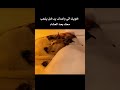 سيفون مو طبيعي اكسبلور ضحك ميمز شعب الصيني ماله حل
