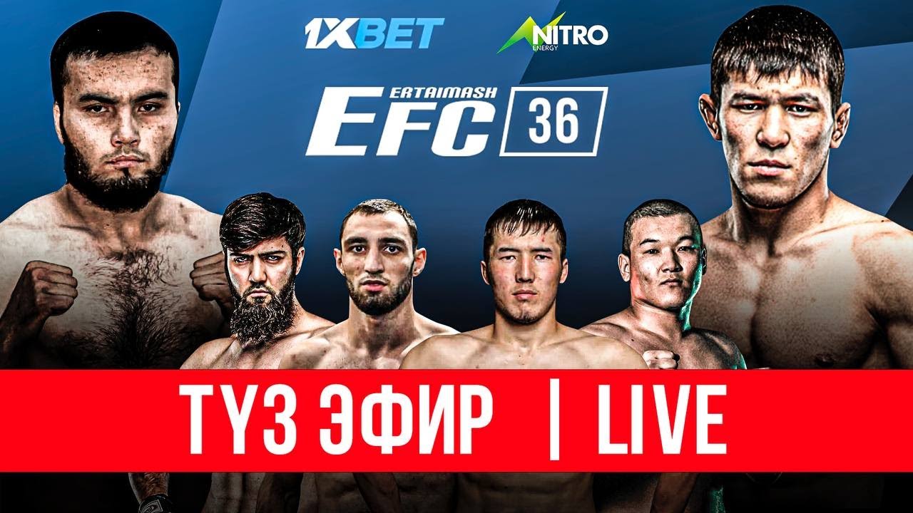 EFC 36 КЫРГЫЗСТАН VS ДАГЕСТАН | EFC GLOBAL LIVE - YouTube