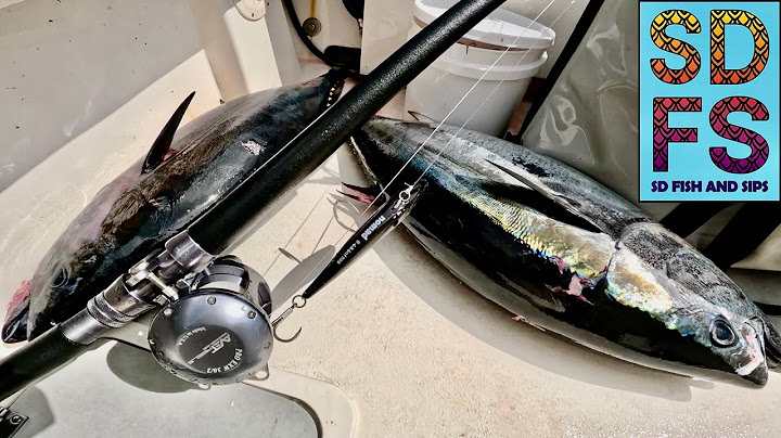 San Diego SPORTFISHING REPORT | BLUEFIN TUNA Bite Day & Night | Nomad MadMacs, Kite, Tungsten Jigs