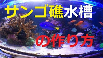Nan Nan Back Undefined Skip Navigation Search Search Sign In Undefined Home Home Explore Explore Subscriptions Subscriptions Library Library History History Play All リスト 水槽の実験 検証動画 79 Videos 3 712 Views Last Updated On Oct 1