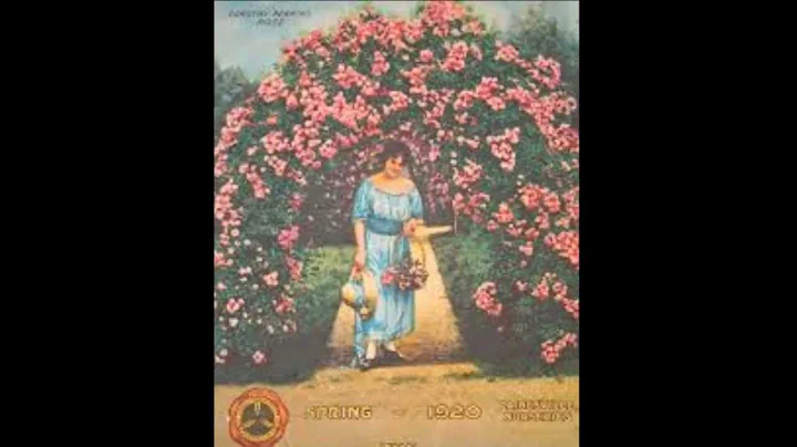 Mickey Guy And His Rose Tree Cafe Orchestra - Rose...
