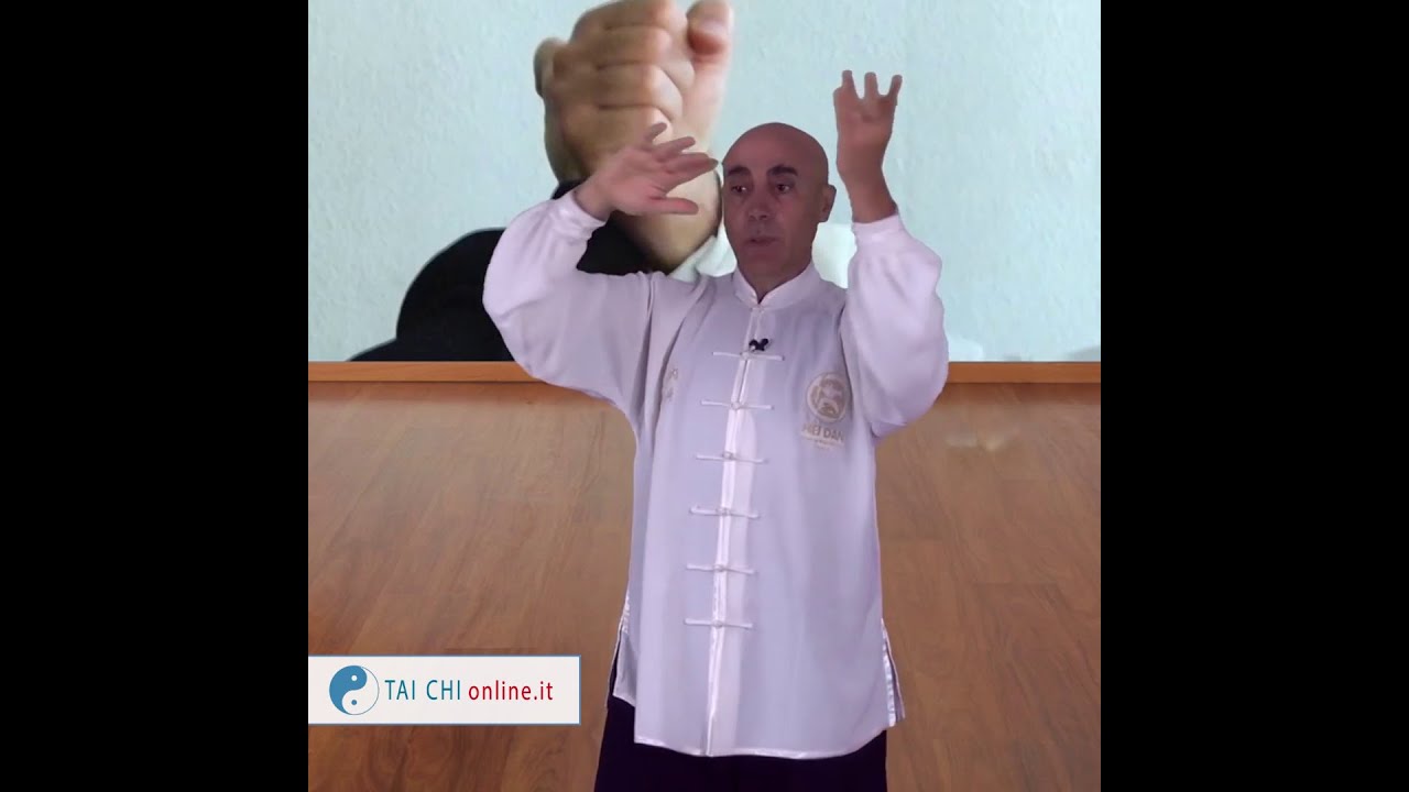 Tai Chi Tui Shou ~ Peng, Lu, Ji, An. Video lezione gratuita M° Flavio Daniele - Tai Chi Online.it