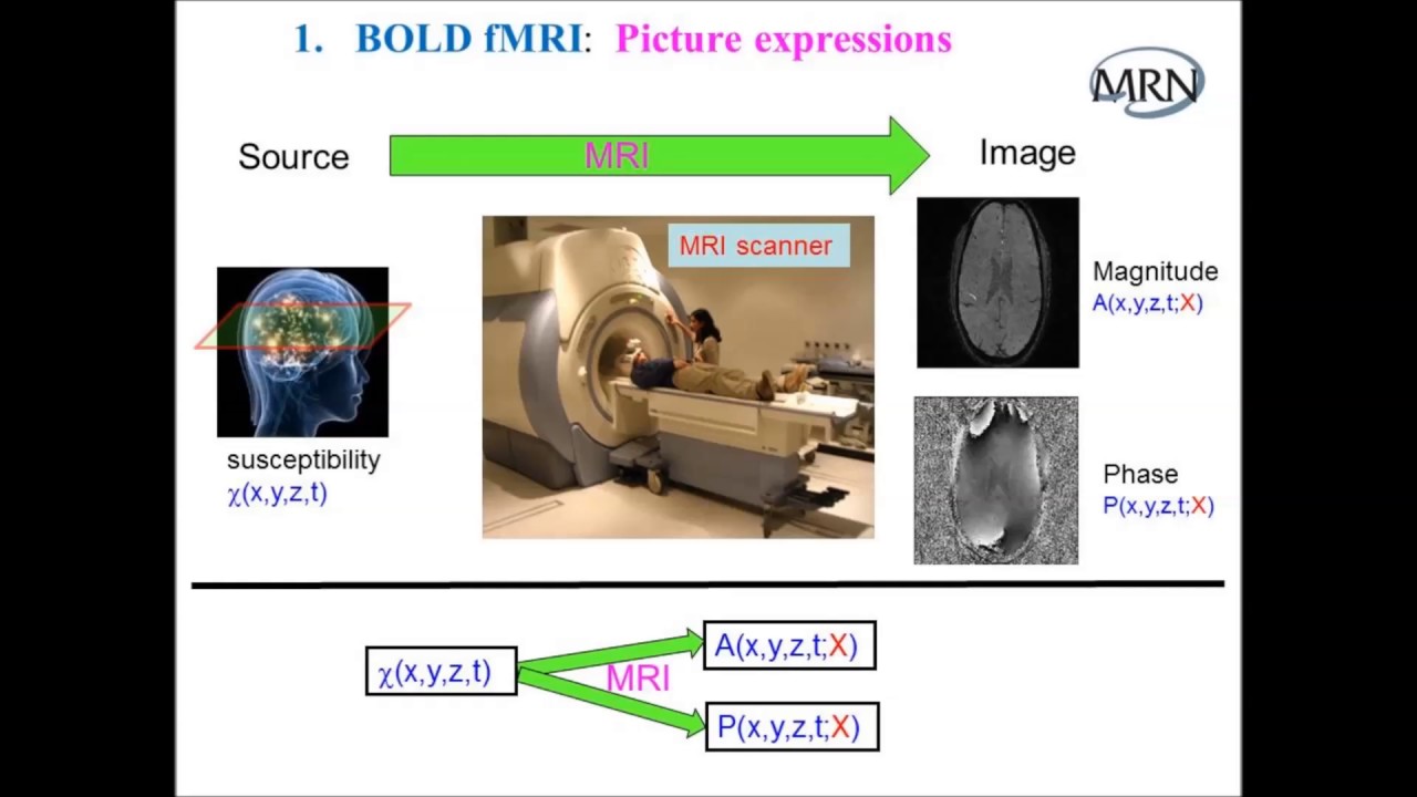 Zikuan Chen Ph.D. - Mind Research Network lecture - YouTube