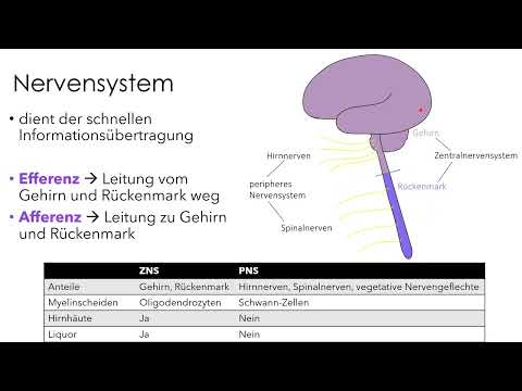 Video: 3 Möglichkeiten, Gelbfärbung in grauem Haar loszuwerden