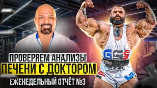 ВСЕ ЧТО ВЫ ХОТЕЛИ ЗНАТЬ О ПЕЧЕНИ! Разбор анализов Голема!