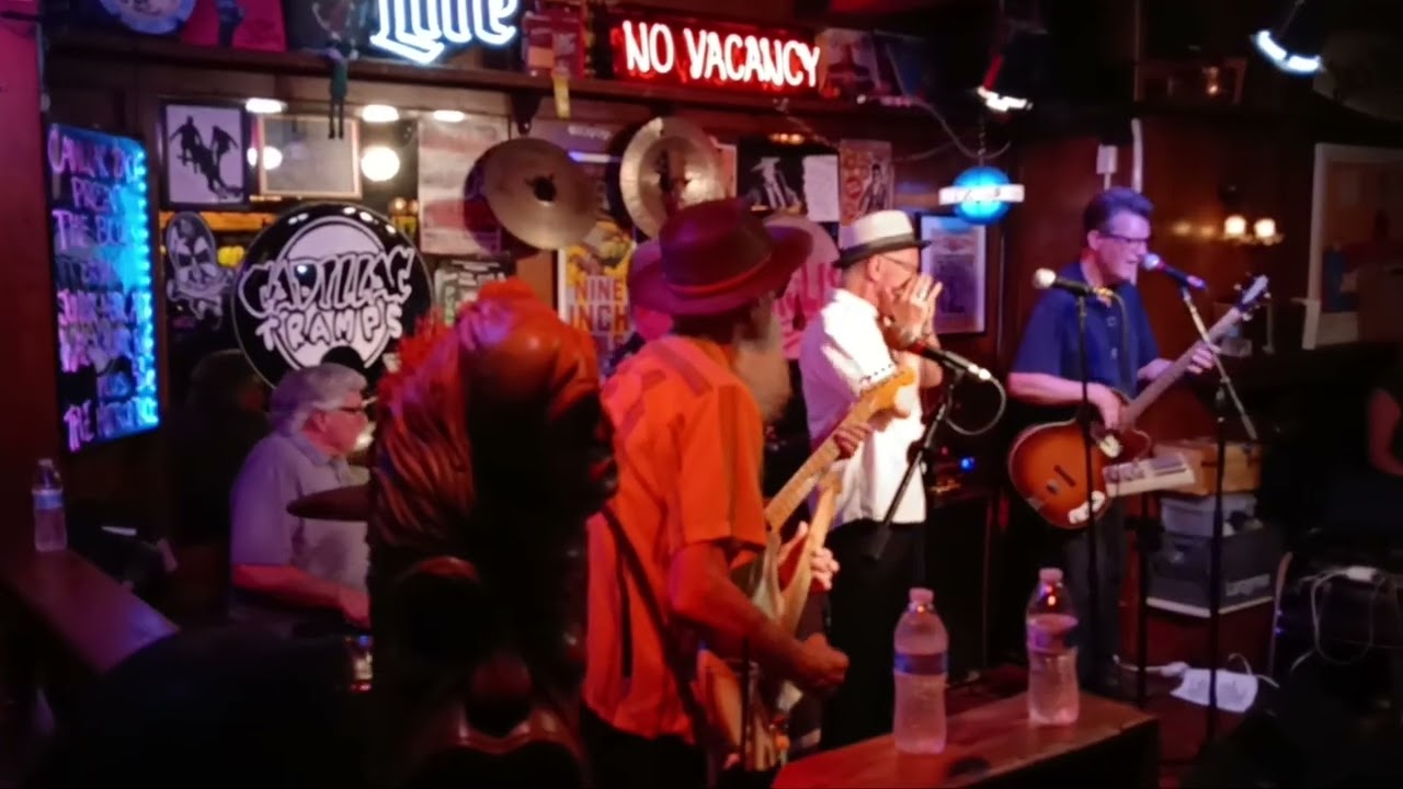Mark Hummel, Junior Watson, Anson Funderburgh,  Wes Starr, Bill Stuve