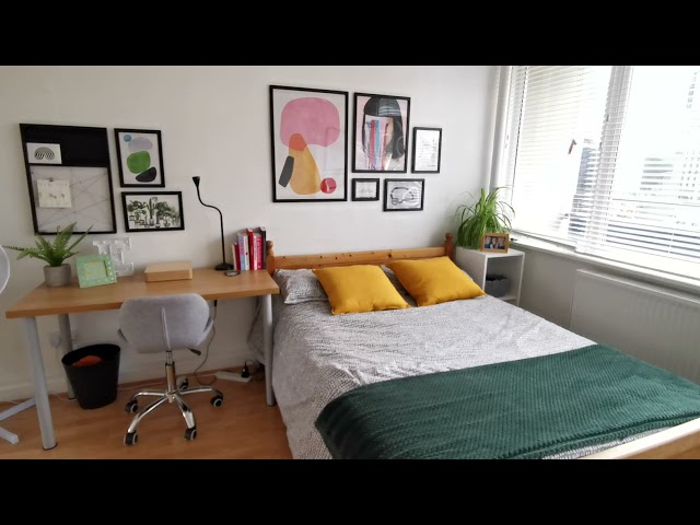 Video 1: Bed 3