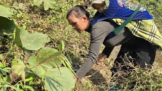 Download Lagu Life is a regular routine. Thi Hoa is clearing the weeds to plant more pumpkins and green beans. MP3