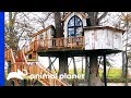 Would You Stay In This Luxurious Treetop Bed & Breakfast? | Treehouse Masters