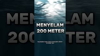 Kerja Menyelam 200 Meter di Norwegia, Gajinya 180 Juta Sebulan?
