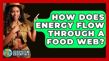 How Does Energy Flow Through a Food Web? - Ecosystem Essentials