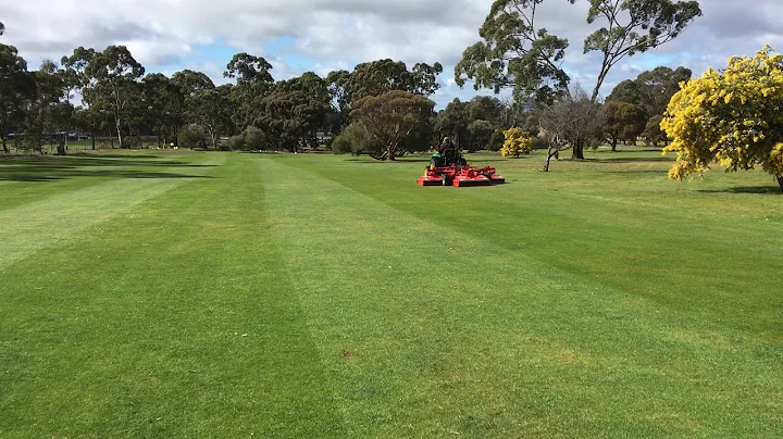 Trimax Snake cutting fairways