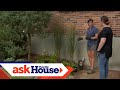 How to Plant Hardier Foundation Plantings | Ask This Old House