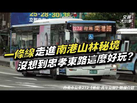 Exploring Nangang’s Century-Old Mountain Trail & Hidden Forest Heritage｜Taipei Bus 212 Journey