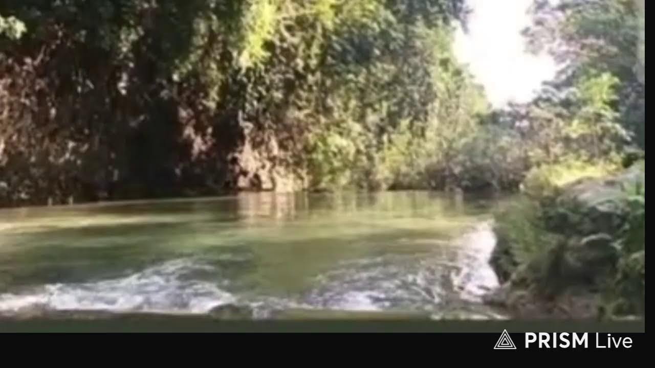 Live streaming of Anna Cares