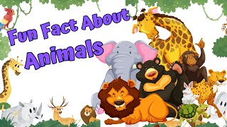 Fun Fact About Animals| Learning about Animals for kids