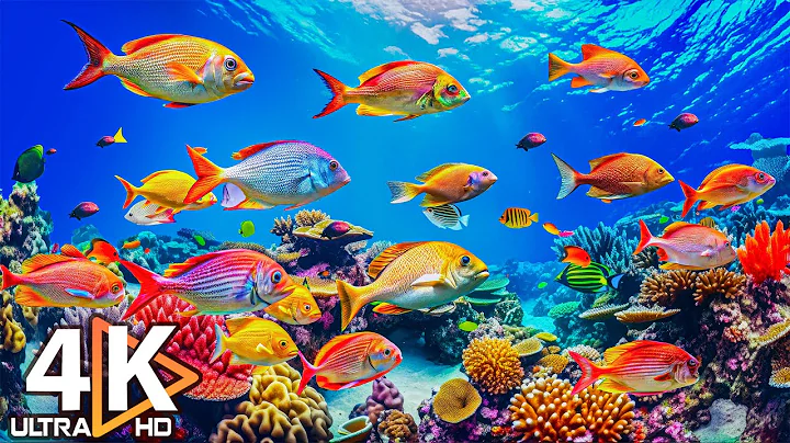 4K Deep Sea Wonders - Marine Life, Sea Animals & Peaceful Music for Sleep #4